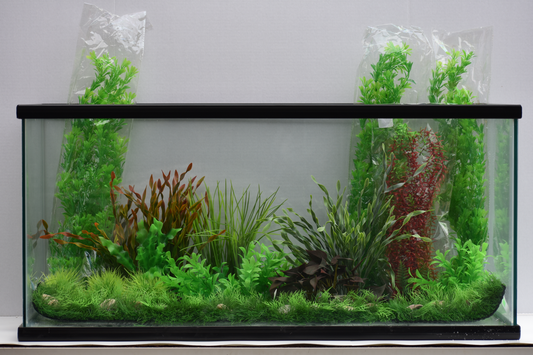 Aquafaux's Finest: Best Artificial Aquarium Plants Reviewed 2024