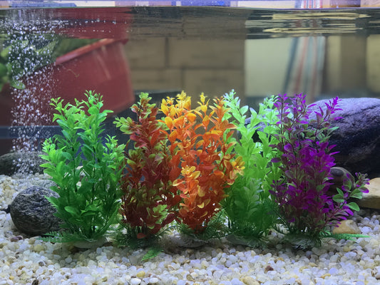 A Deep Dive into Plastic Aquarium Plants
