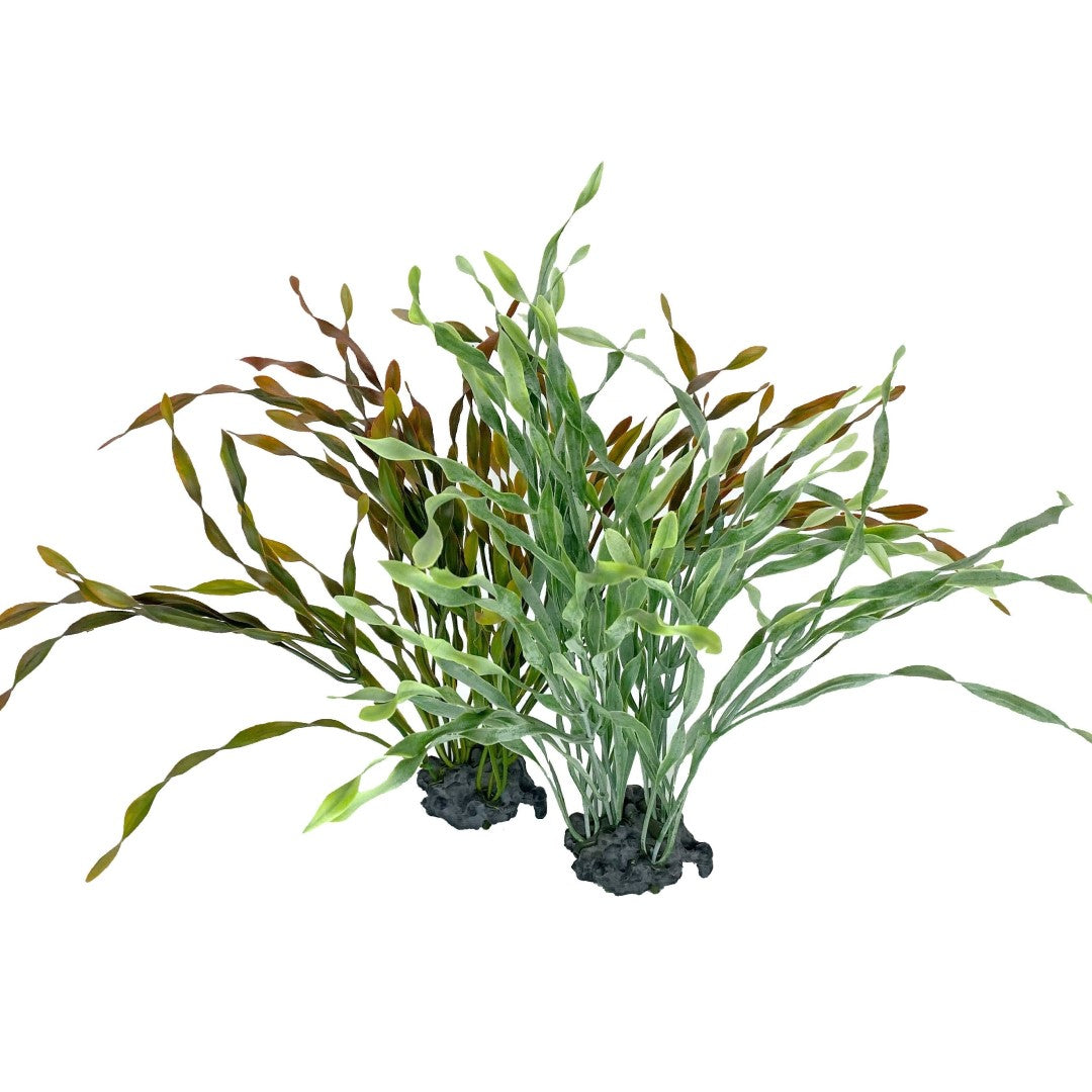 Most Realistic Artificial Aquarium Plants Aquafaux
