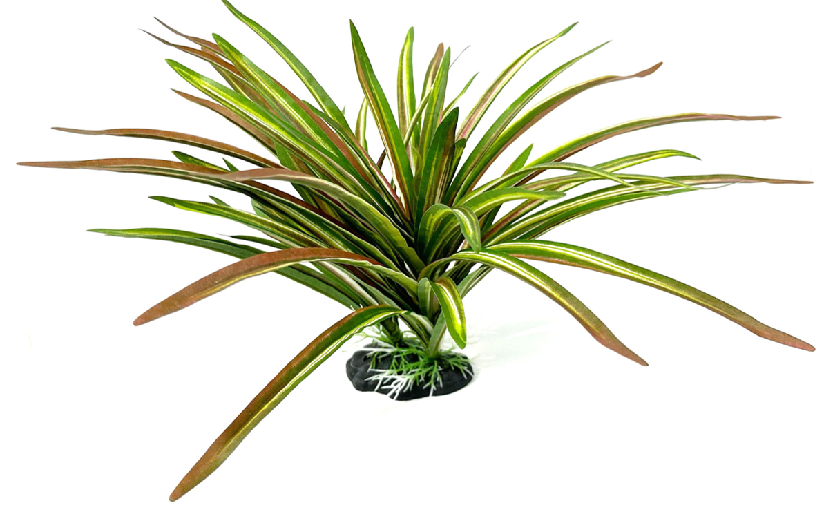 silk dracaena Silk Dracaena Tan