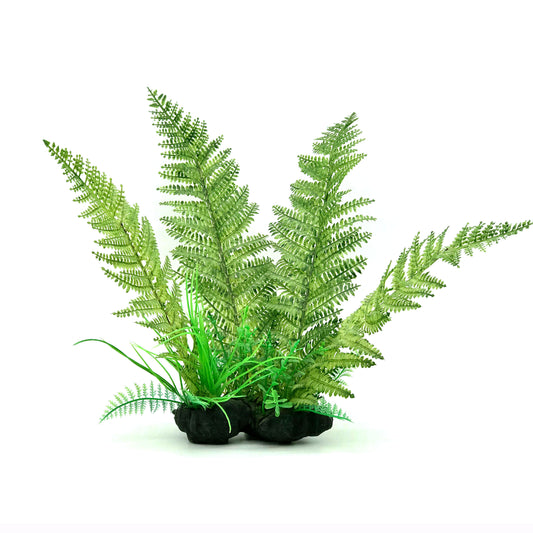 Green Fern