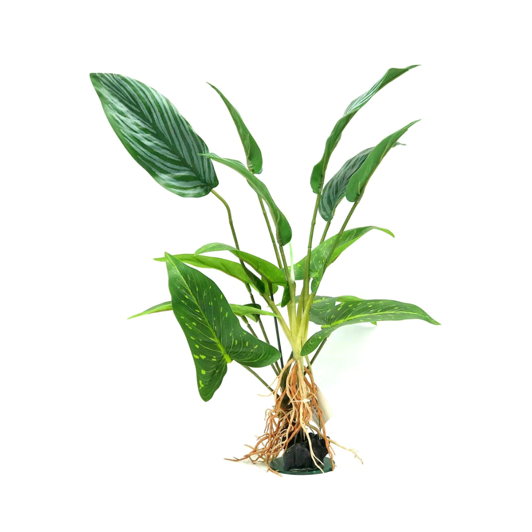 amazon plastic aquarium plants Amazon Sword