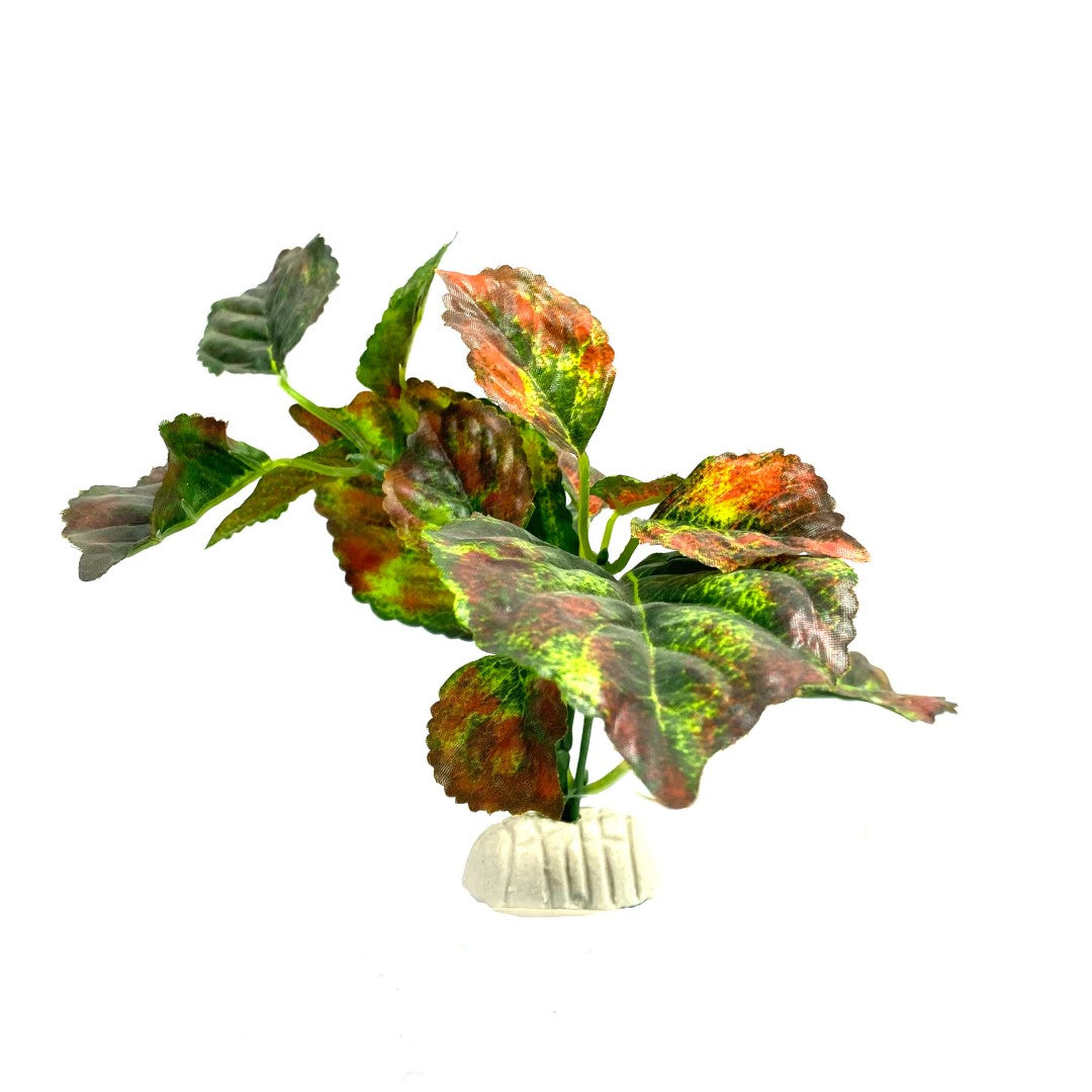Autumn Leaves