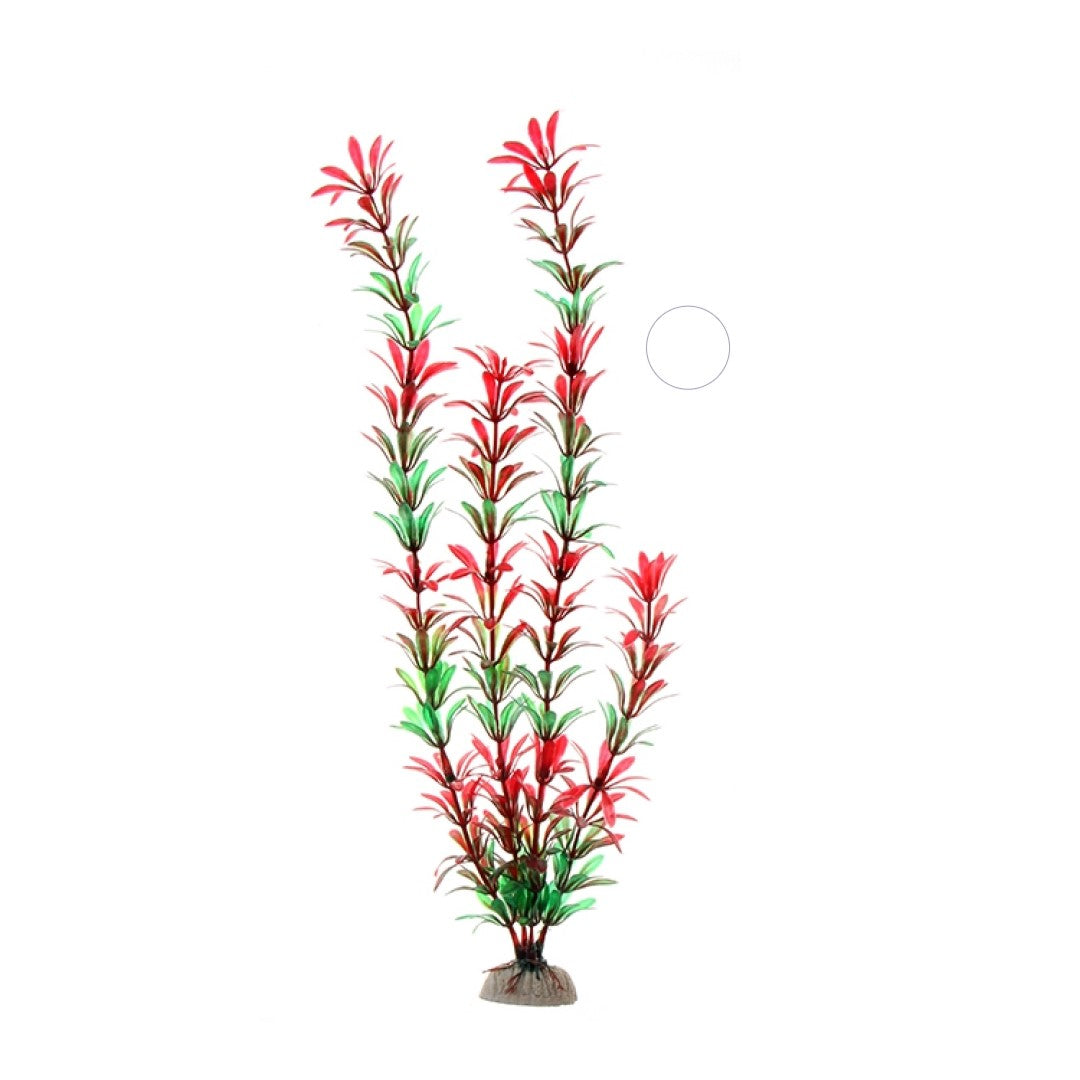 Grass Weed Tall