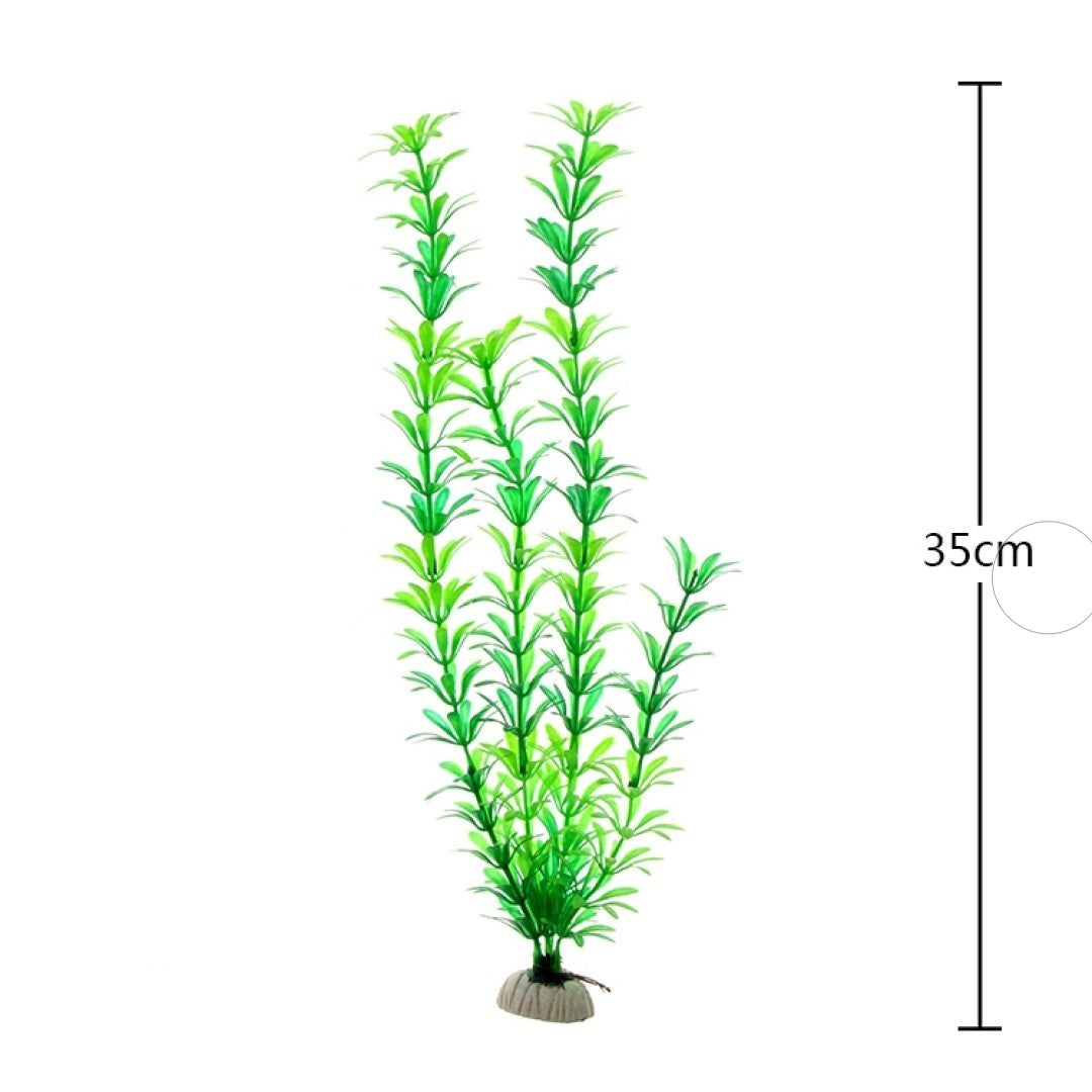 Grass Weed Tall