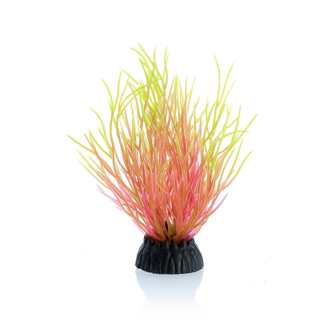 orange grass aquarium decoration