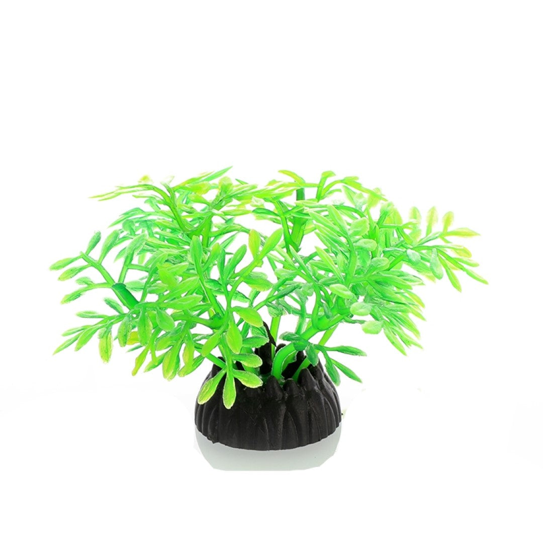 Mini Petal 10 Pack