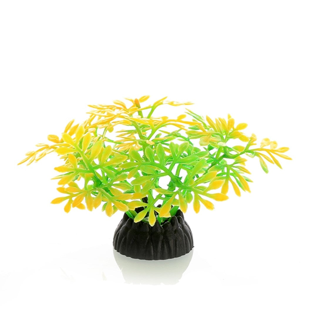 Mini Petal 10 Pack