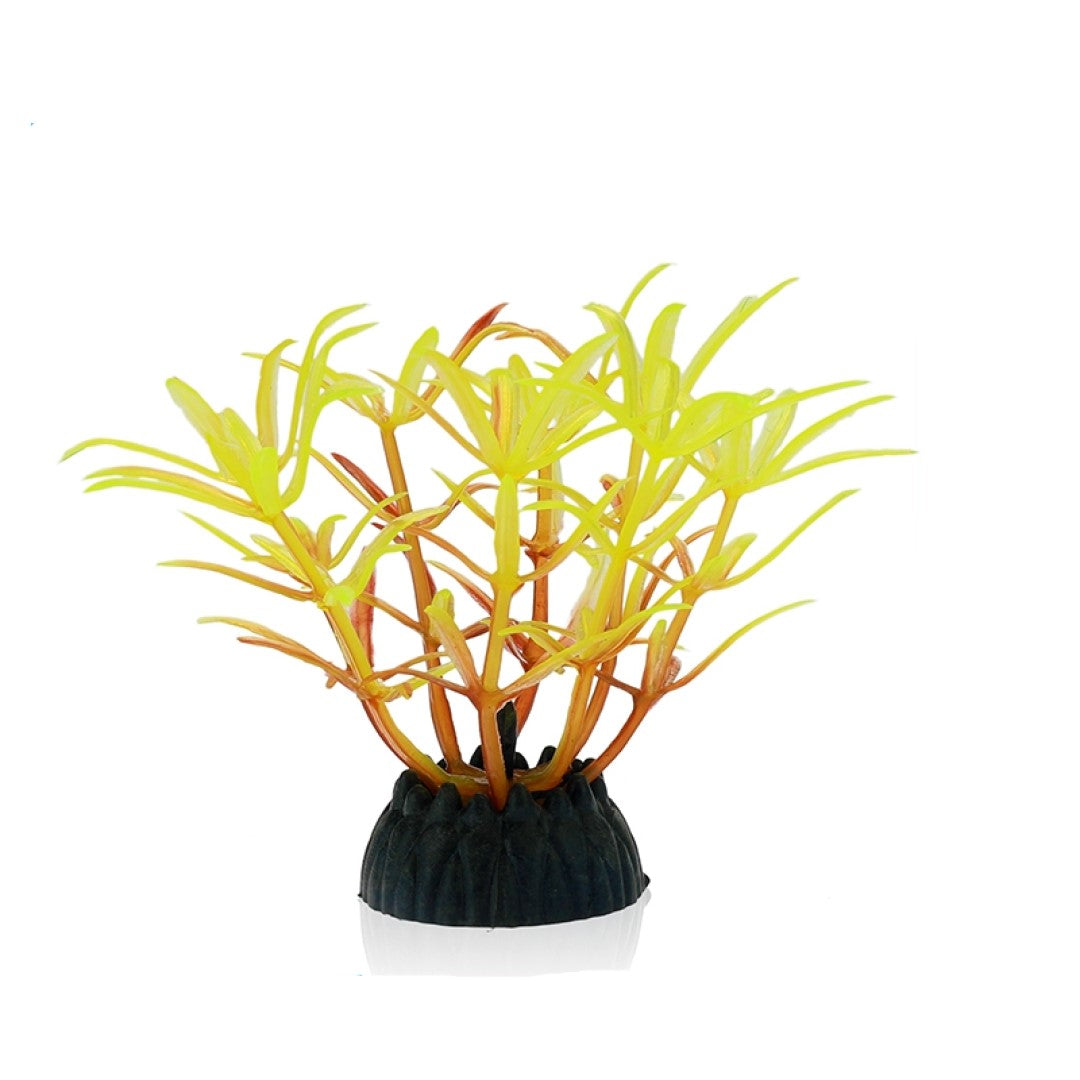 Weed Decoration 10 Pack