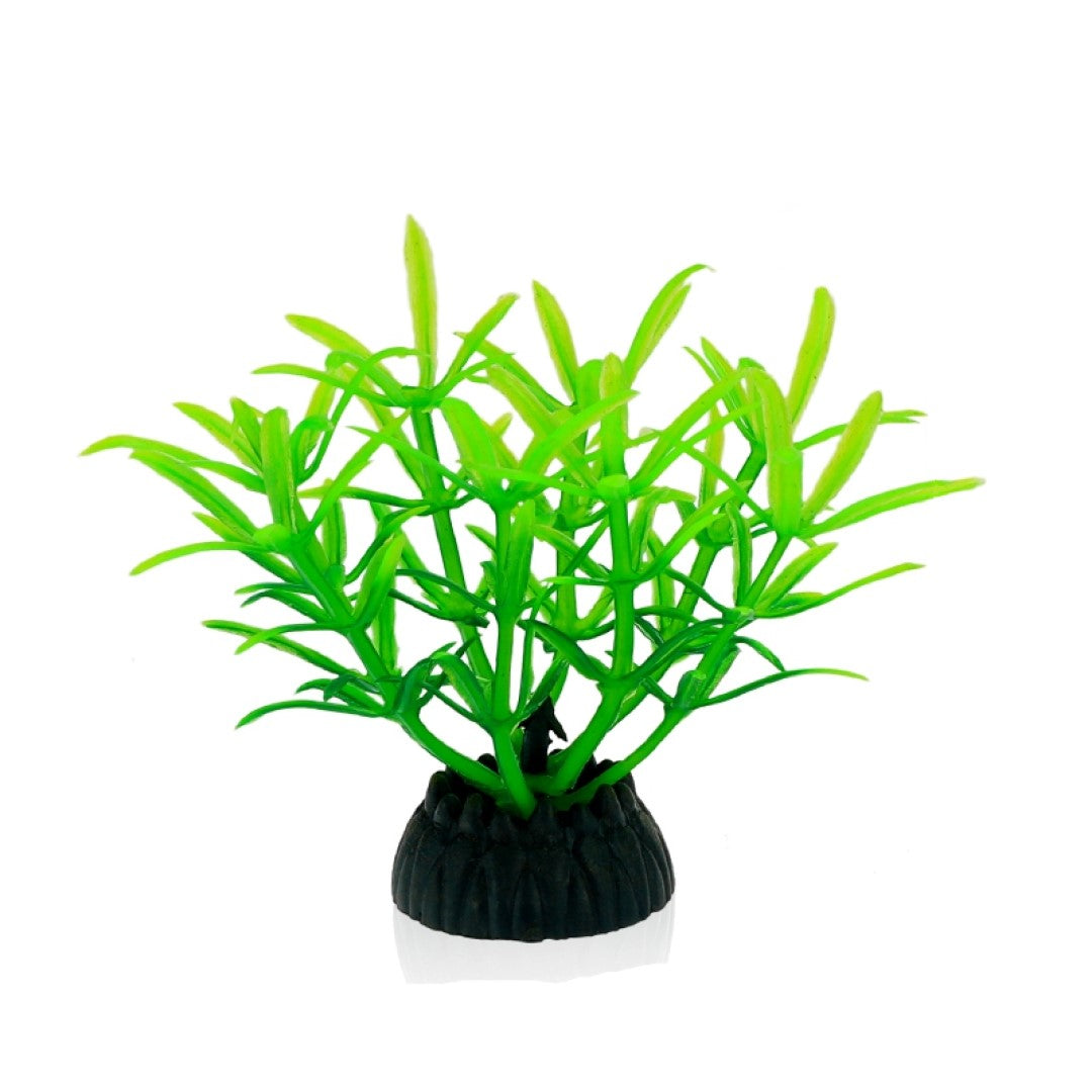 Weed Decoration 10 Pack