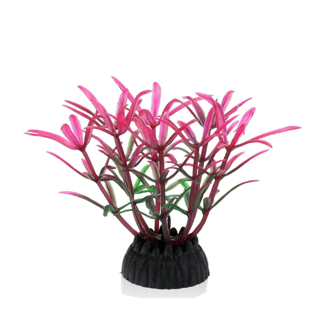 Weed Decoration 10 Pack
