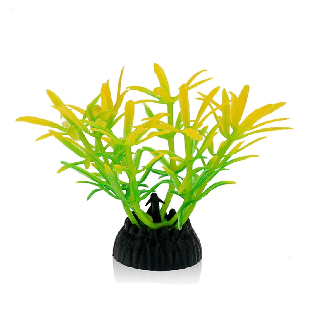 Weed Decoration 10 Pack
