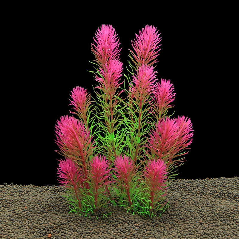 Hornwort