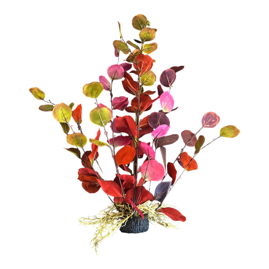 Large Burgundy Silk Plant