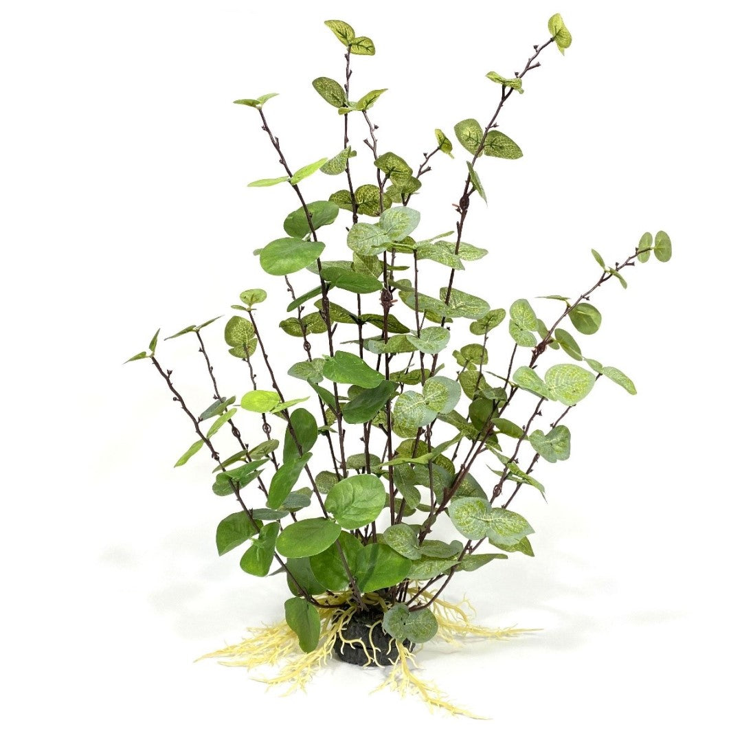 silk aquarium plants vs plastic Large Round Leaf