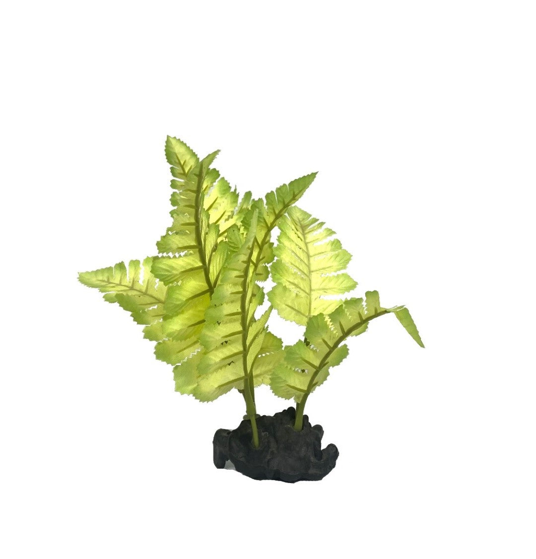 Light green silk aquarium plant that looks like a small fern