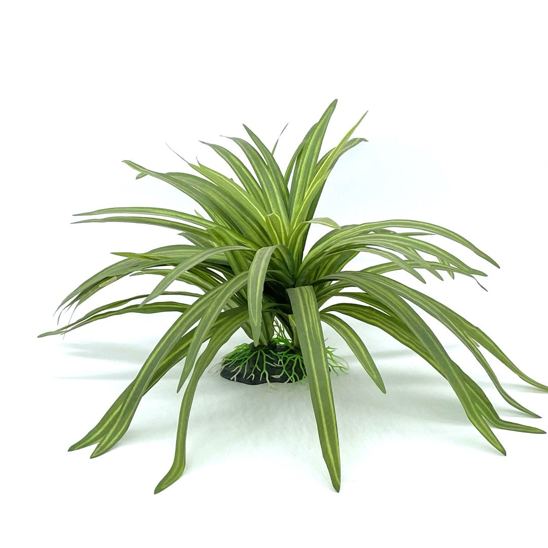 dracaena in aquarium Silk Dracaena Aquarium Decor – Aquafaux