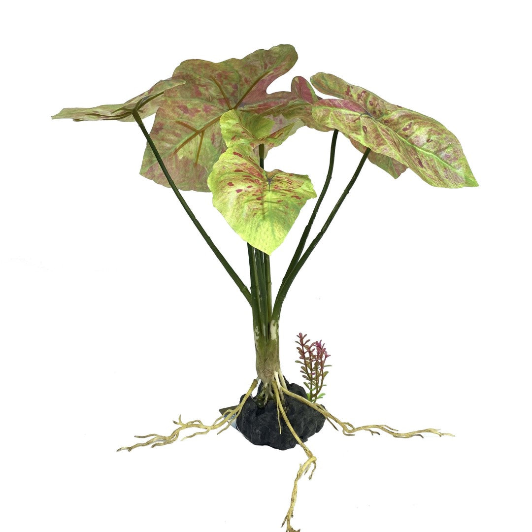 Tropical Leaves