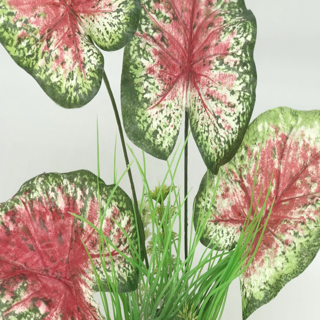zoomed in images of pink and green silk leaf aquarium plant