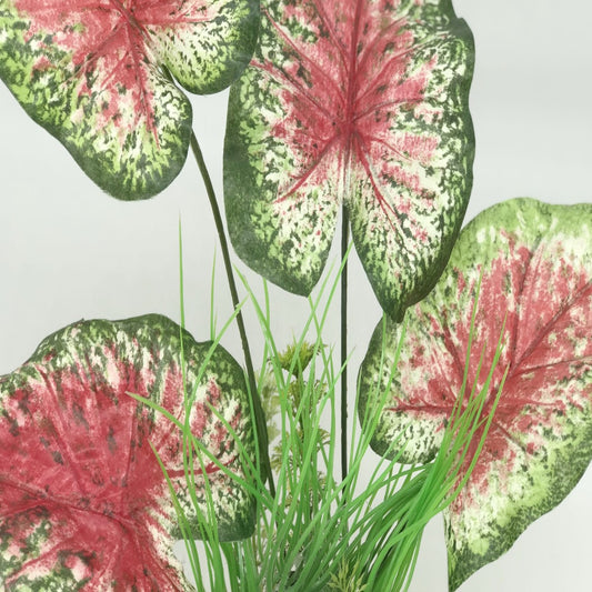 zoomed in images of pink and green silk leaf aquarium plant