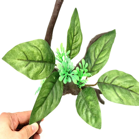 green plant growing on fake driftwood close up