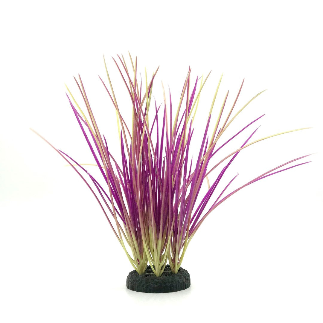 Purple Grass