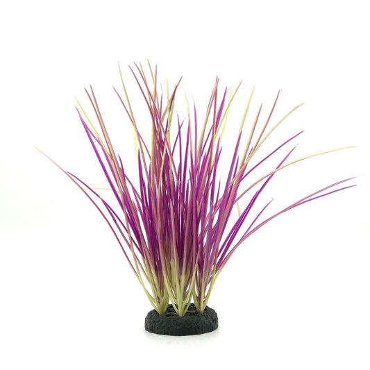 Purple Grass