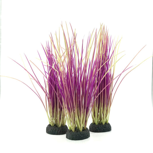 Purple Grass