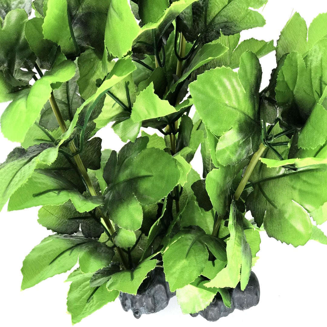 close up of green silk aquarium plant