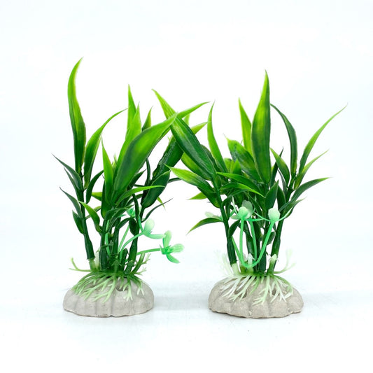 Small Grass 12 Pack