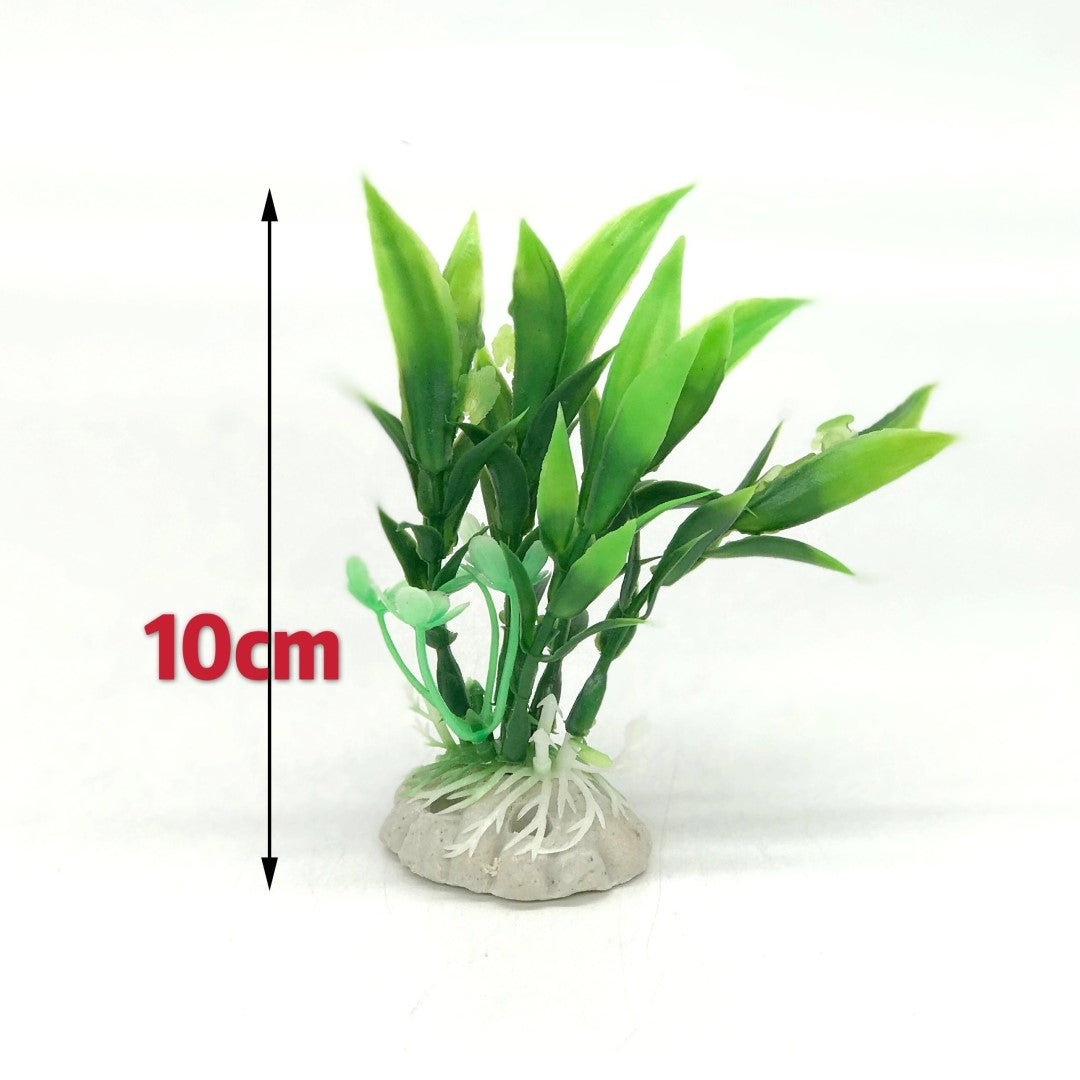 Small Grass 12 Pack