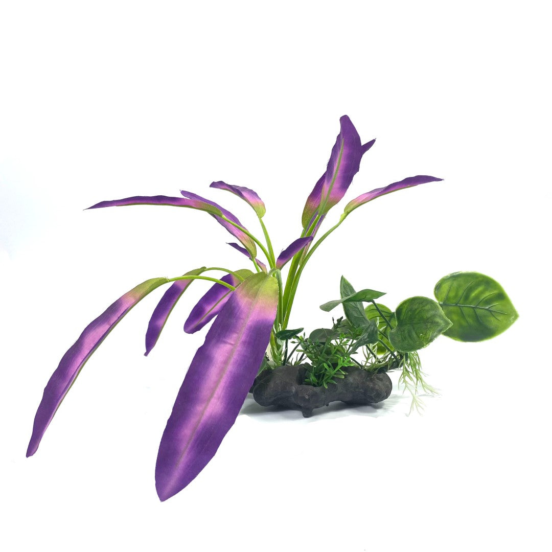 Purple Leaf