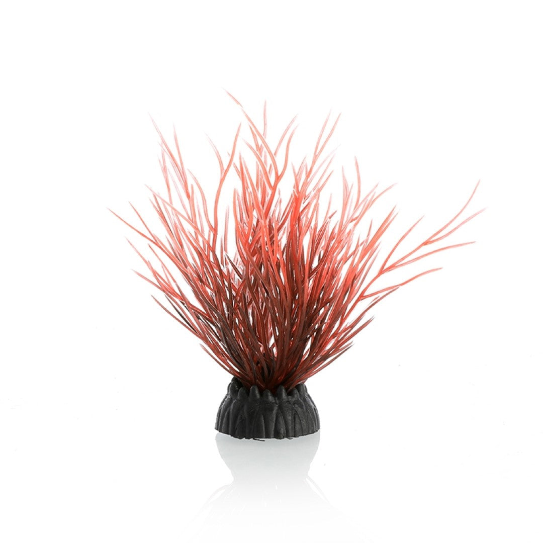 red grass aquarium decoration