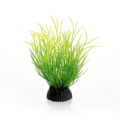 Mini Grass