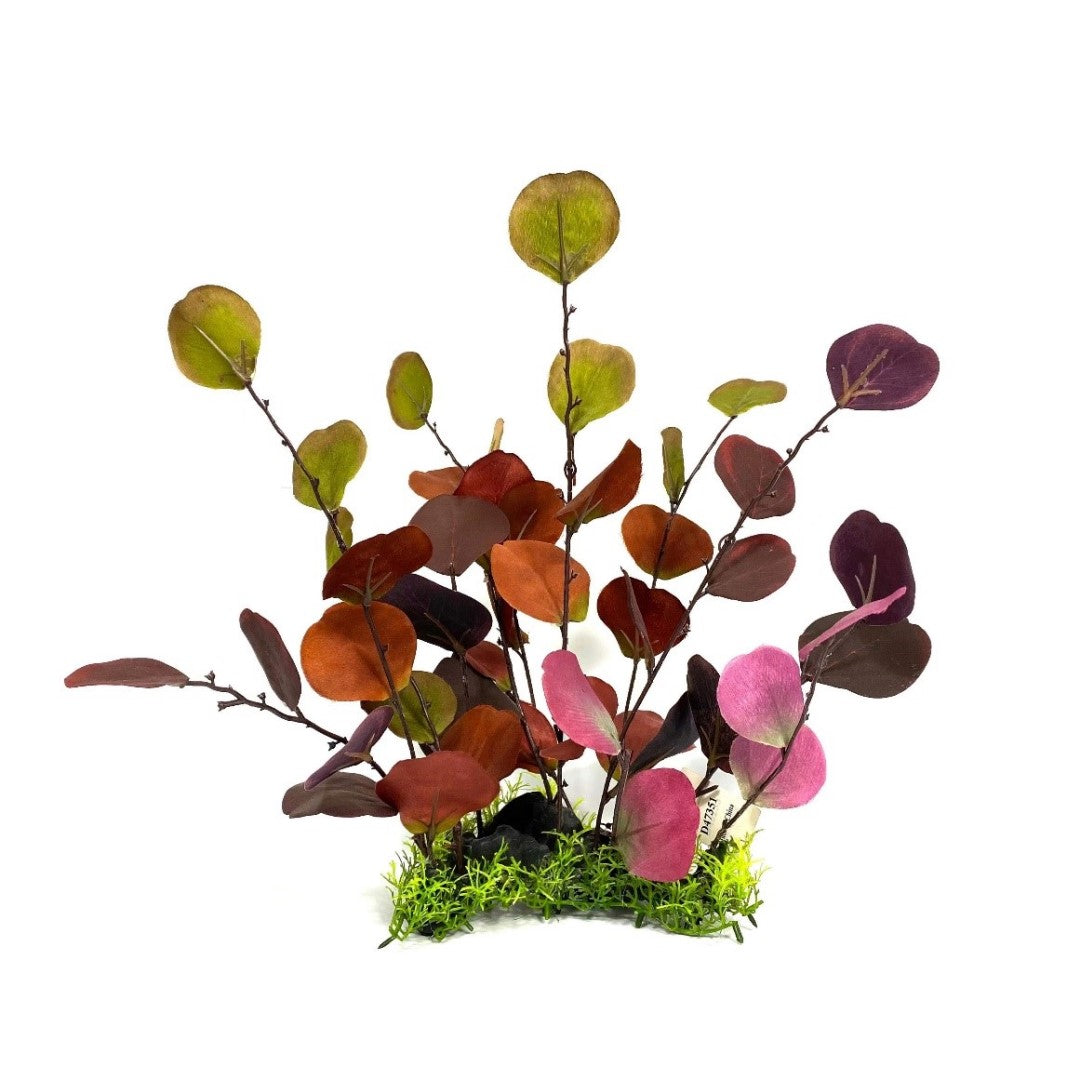 burgundy leaf aquarium decoration with white background 