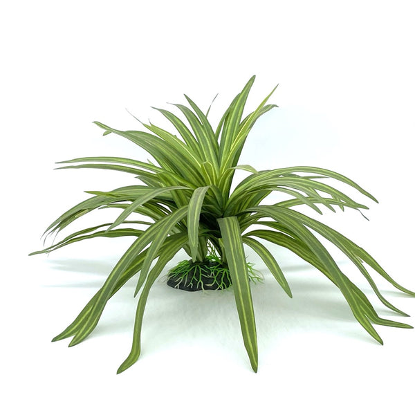 chlorophytum aquarium Silk Dracaena Aquarium Decor – Aquafaux