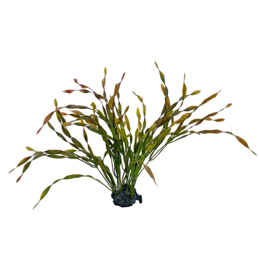 CousDUoBe 11 Pack Artificial Seaweed Decor，Used for Household and Office  Aquarium Simulation Plastic Seaweed Water Plants（12 inches）