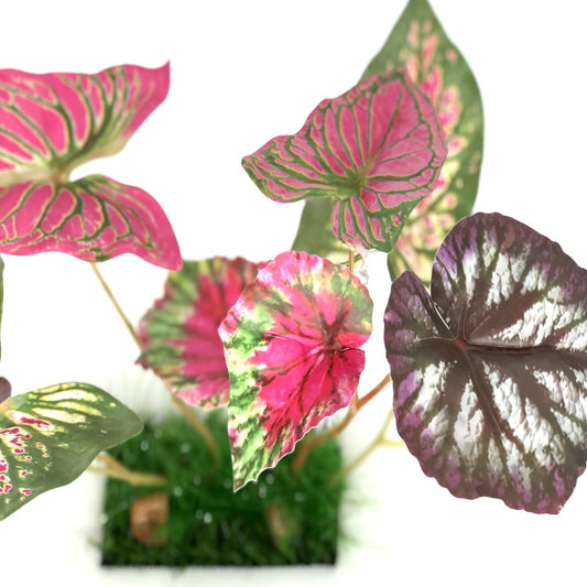 close up of pink and purple leaf aquarium decoration