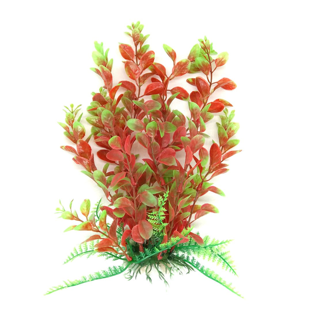 Red plastic aquarium plant with round leaves and green tips