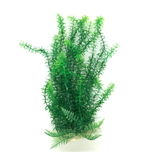 green plastic hornwort aquarium plant