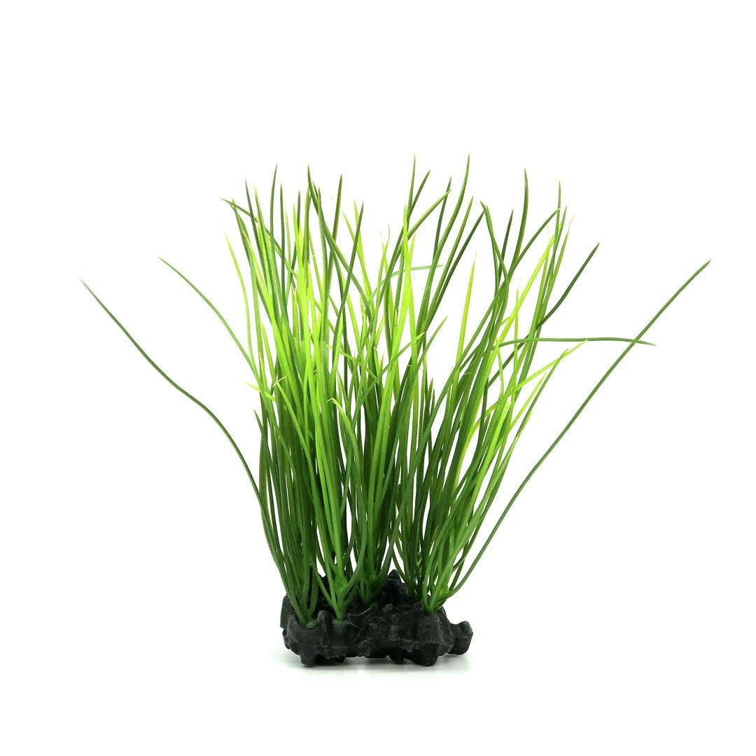 Medium Size Plastic Fish Tank Grass – Aquafaux
